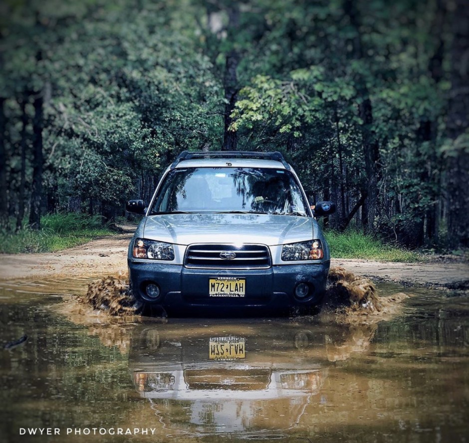 Amberlena Dwyer's 2004 Forester 