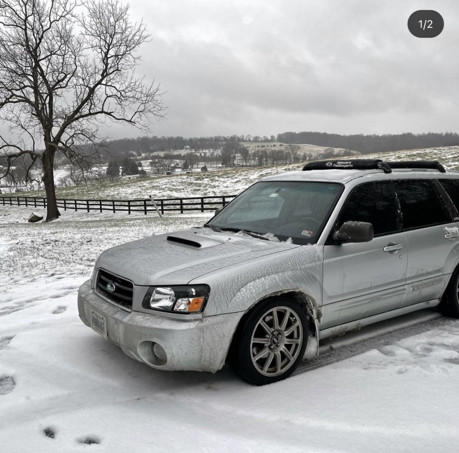 Grayson G's 2004 Forester XT