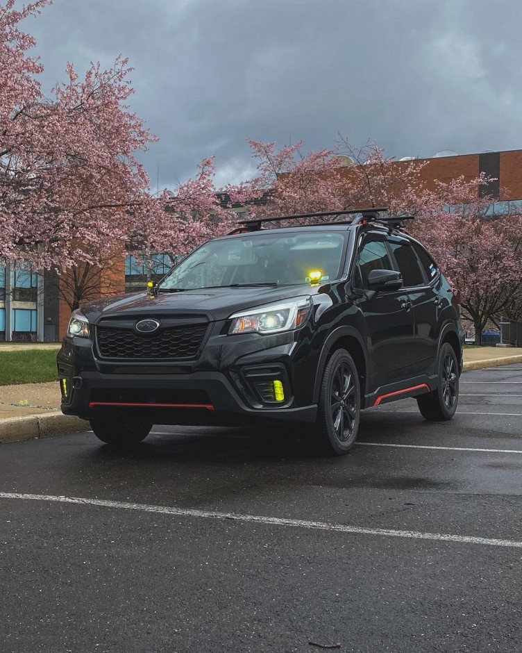 Amar Trivedi's 2019 Forester Sport