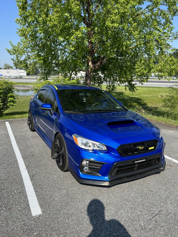 Austin Bear's 2021 Impreza WRX Premium 