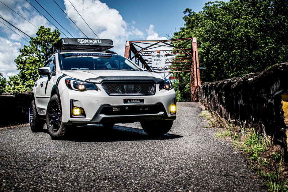 Lisa Burick's 2016 Crosstrek Limited 