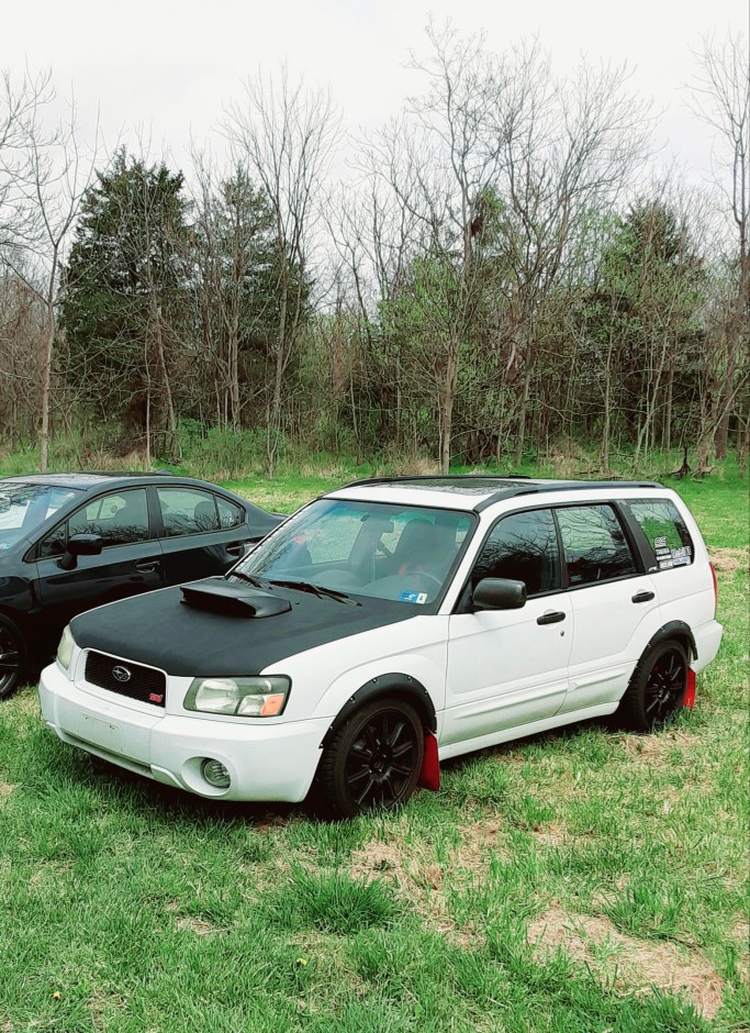 Jason Smallwood 's 2003 Forester XTI
