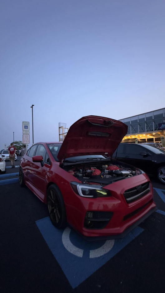 Ashlee N's 2017 Impreza WRX Base