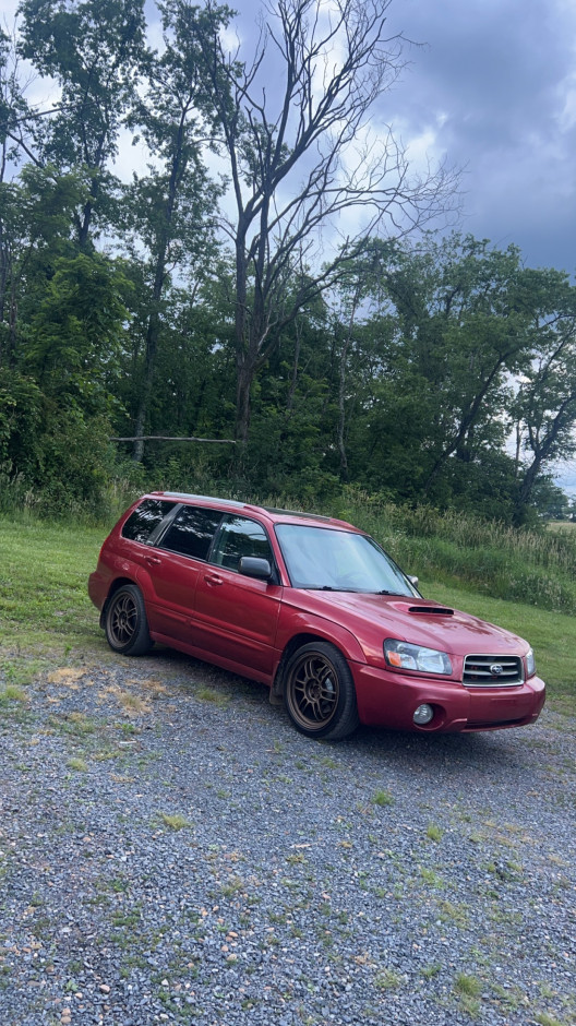 Kody Peacemaker's 2004 Forester Xt limted 