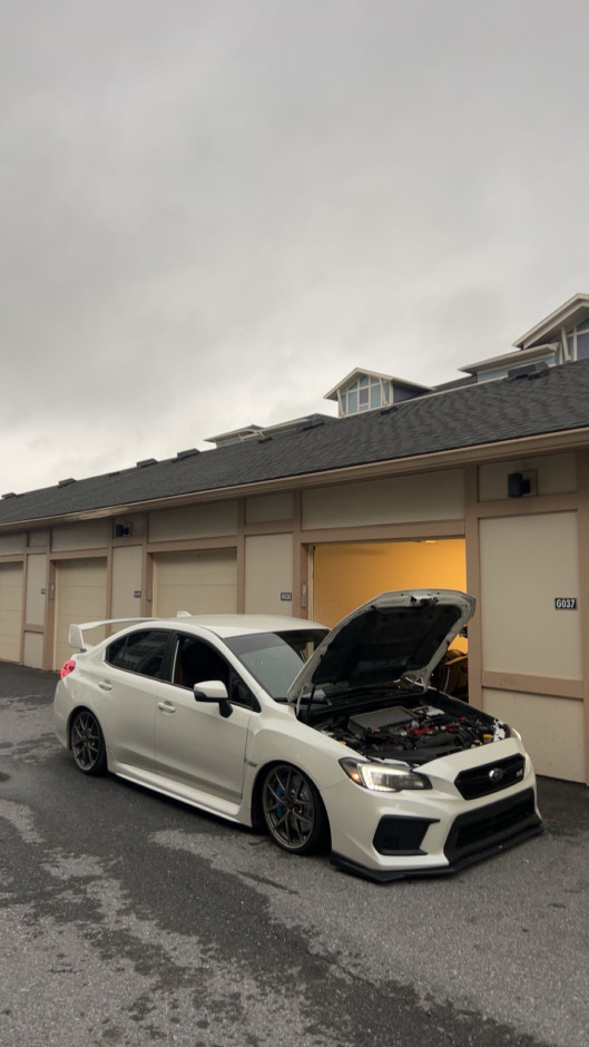 Tyler Pletcher's 2019 Impreza WRX STI Base