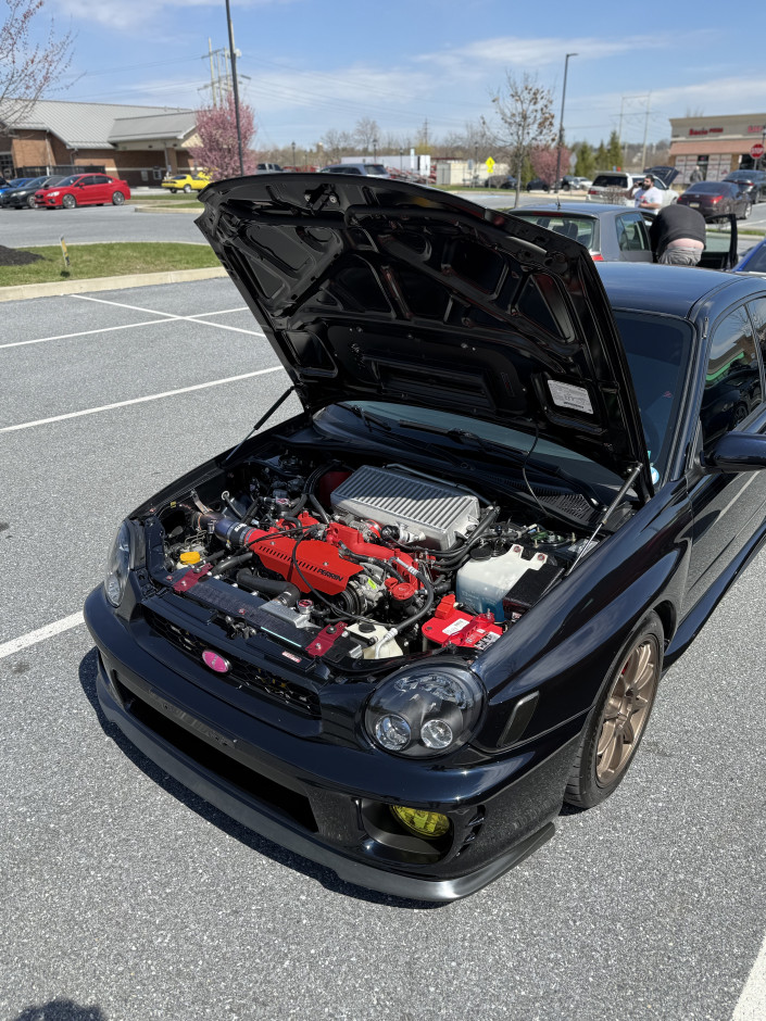 Tayla Cain's 2003 Impreza WRX WRX