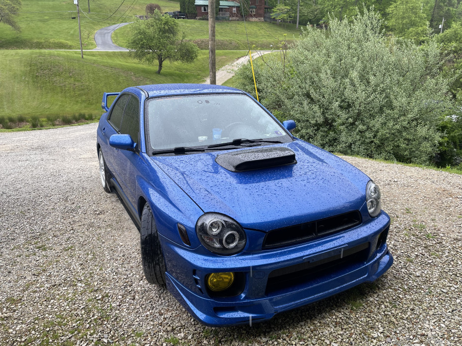 Aaryn  W's 2023 Impreza WRX