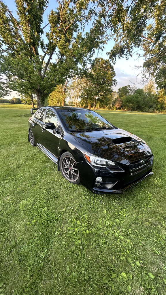 Tara Z