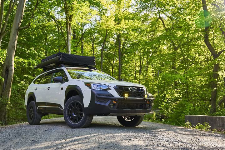 Sal Alfano's 2024 Outback Wilderness