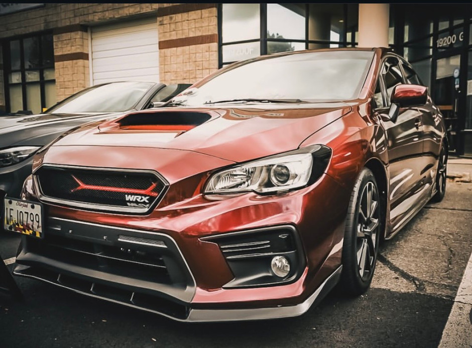 Danielle R's 2021 Impreza WRX Premier