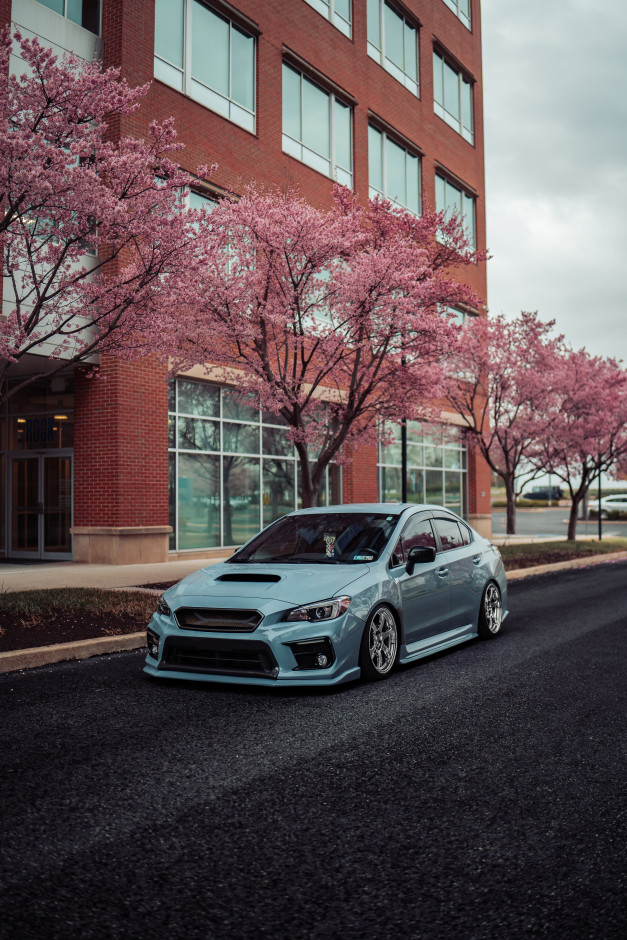 Madison Z's 2019 Impreza WRX Limited