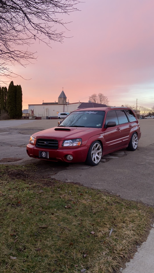 adian M's 2004 Forester 2.5 XT