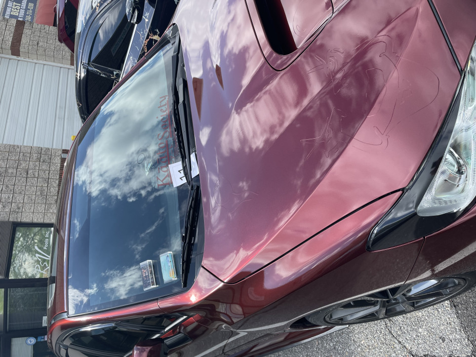 Danielle R's 2021 Impreza WRX Premier
