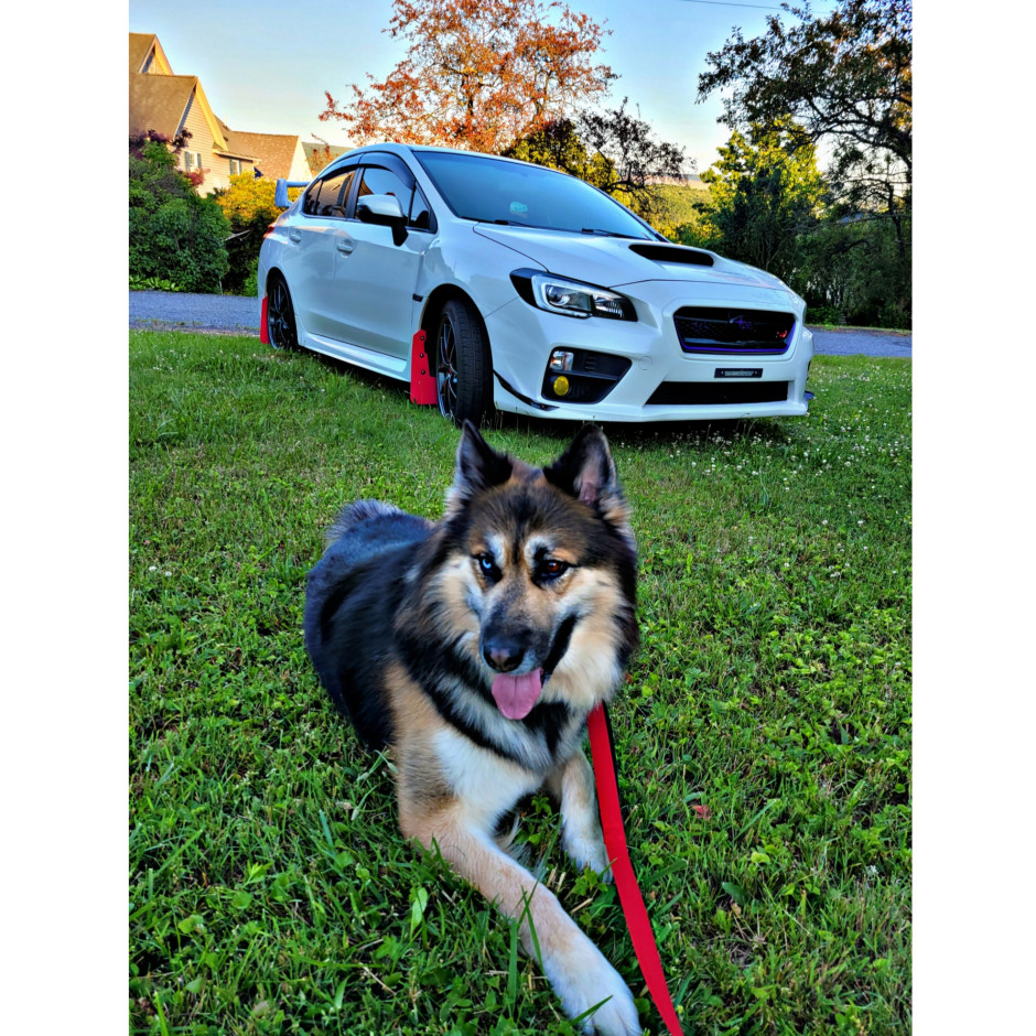 Amber B's 2015 Impreza WRX STI Limited