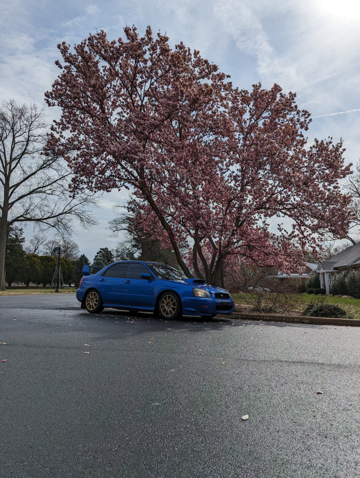 Liam E's 2005 Impreza WRX STI 