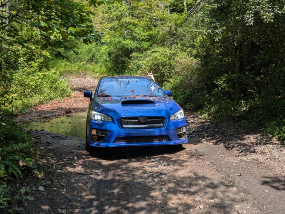 Timothy M's 2017 Impreza WRX Base