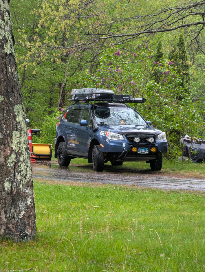 Kenneth G's 2014 Forester Limited