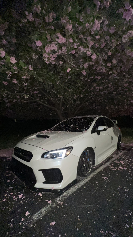 Tyler Pletcher's 2019 Impreza WRX STI Base