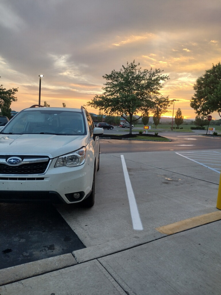 Oli A's 2016 Forester Limited