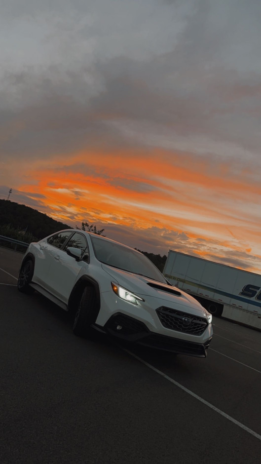 Dennis S's 2023 Impreza WRX Gt