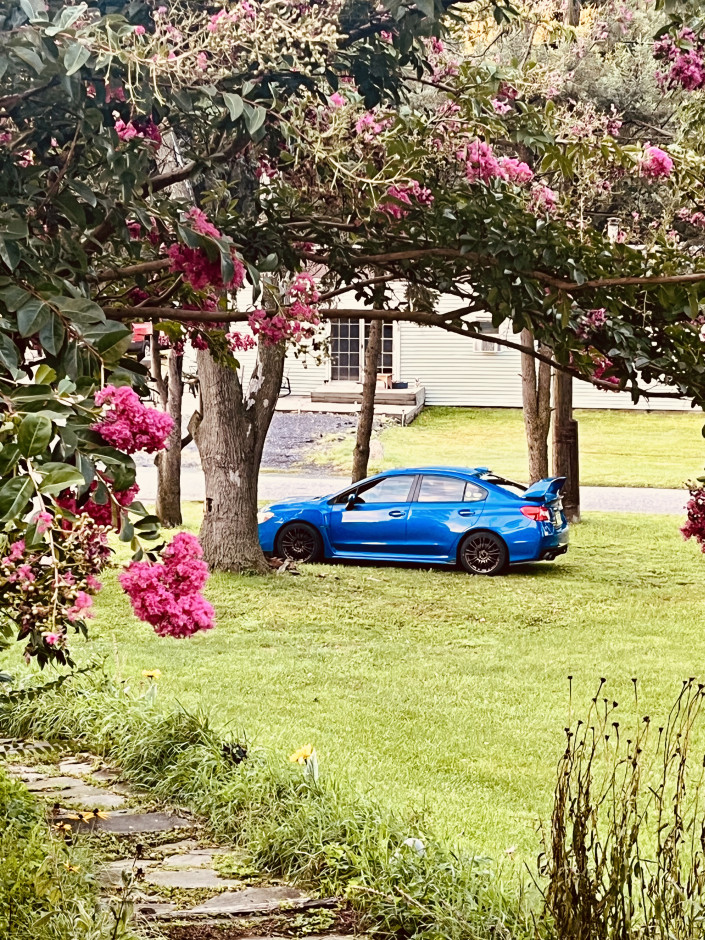 Katie G's 2019 WRX Premium