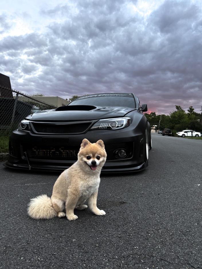 Matthew  S's 2012 Impreza WRX STI
