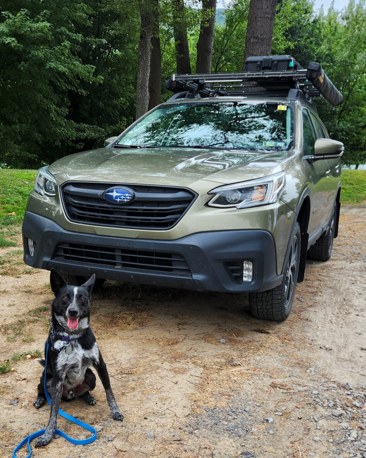 Nina H's 2022 Outback Limited