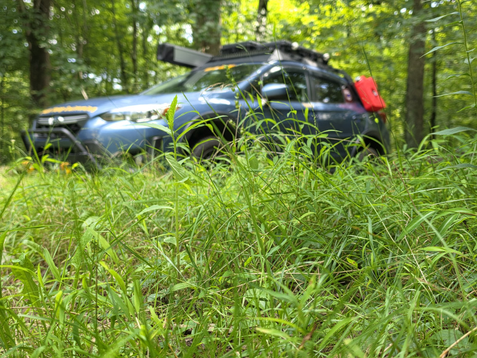 Houston Shoup's 2021 Crosstrek Premium