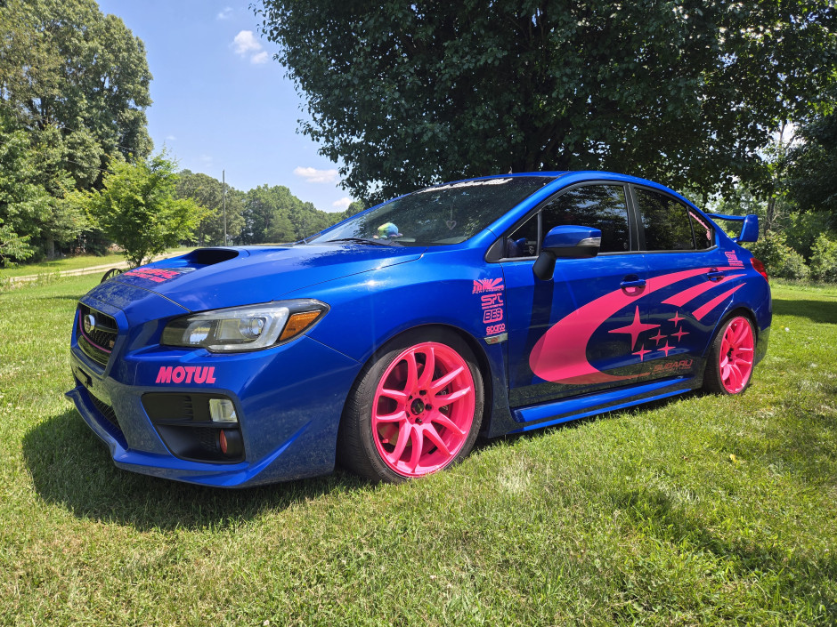 Heather S's 2017 Other STI