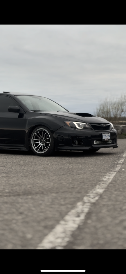 Chase P's 2024 Impreza Wrx limited 