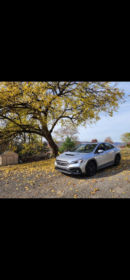 Grant F's 2022 Impreza WRX Limited 