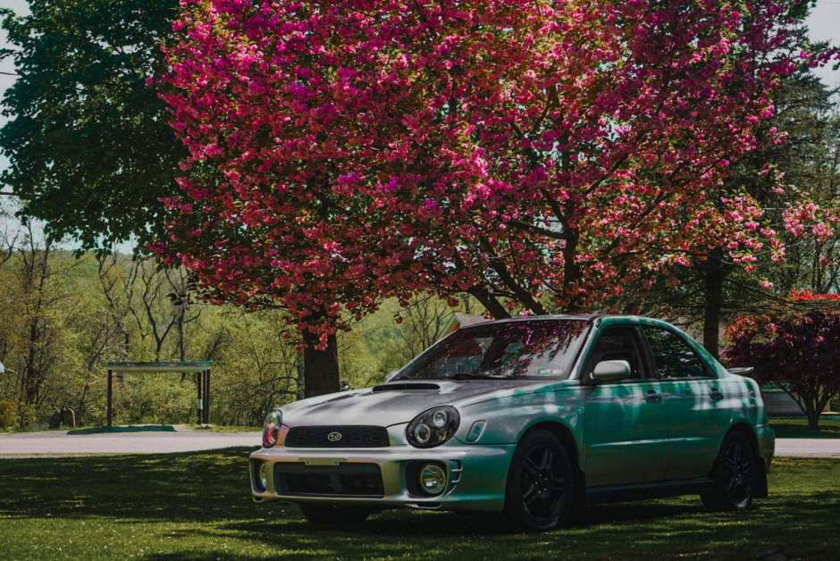 Chrissy  G's 2002 Impreza WRX 