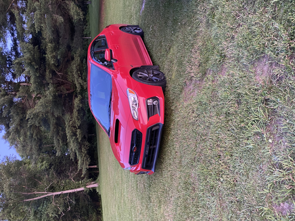 Zachary D's 2019 Impreza WRX Premium