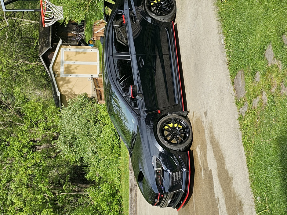 Nichole L's 2018 Impreza WRX STI Base