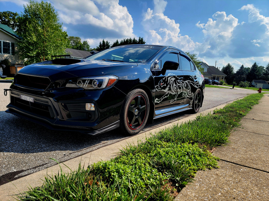 Alyssia R's 2020 Impreza WRX Base 