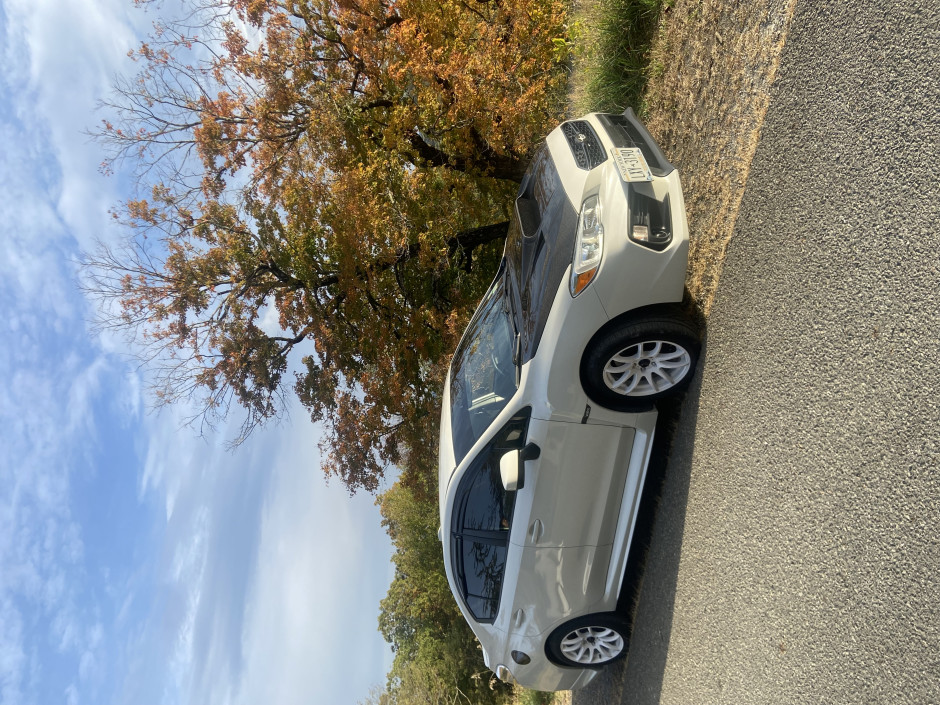 Dominic S's 2019 WRX