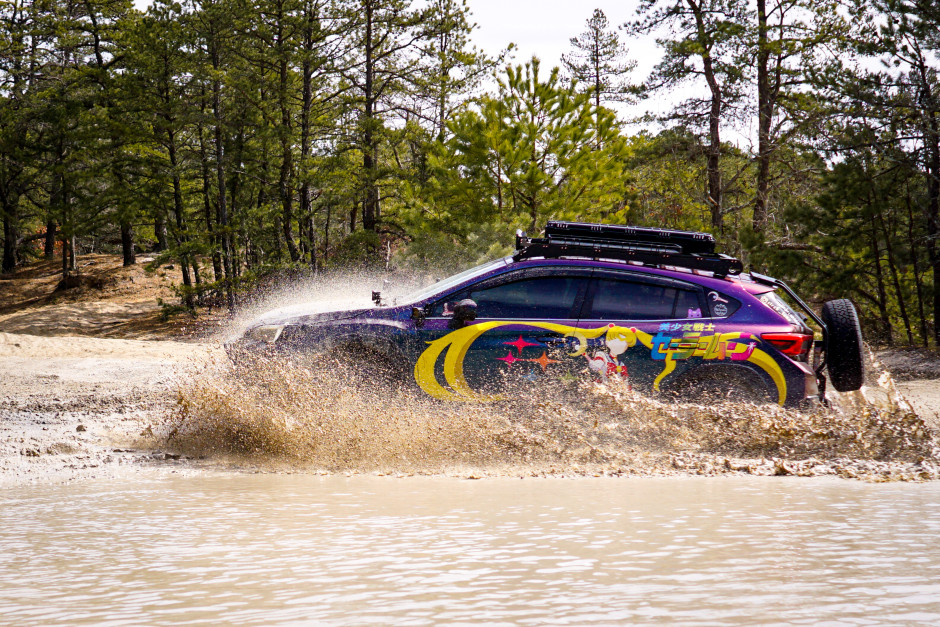 Christopher D's 2019 Crosstrek Limited