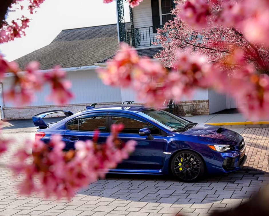 Stephen W's 2019 Impreza WRX STI 