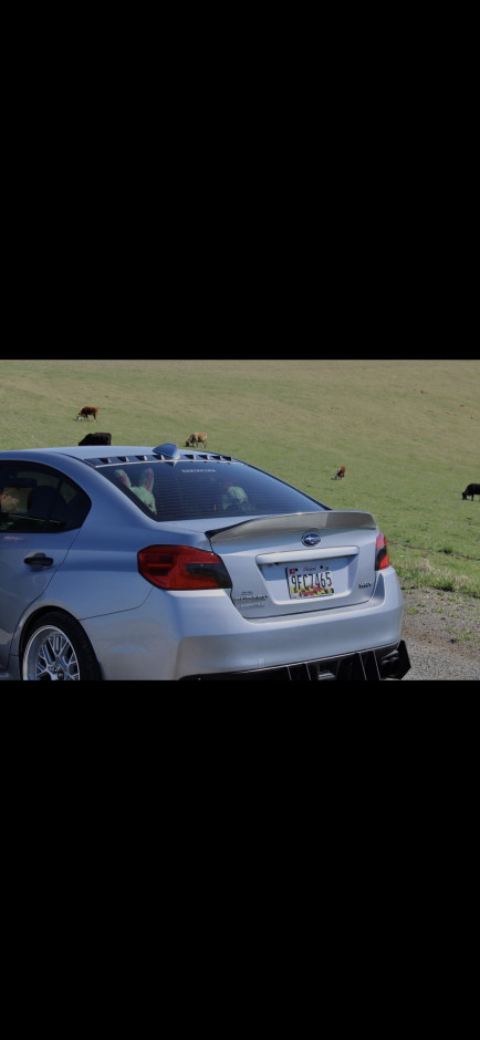 Dakota Wilson's 2019 Impreza WRX Base