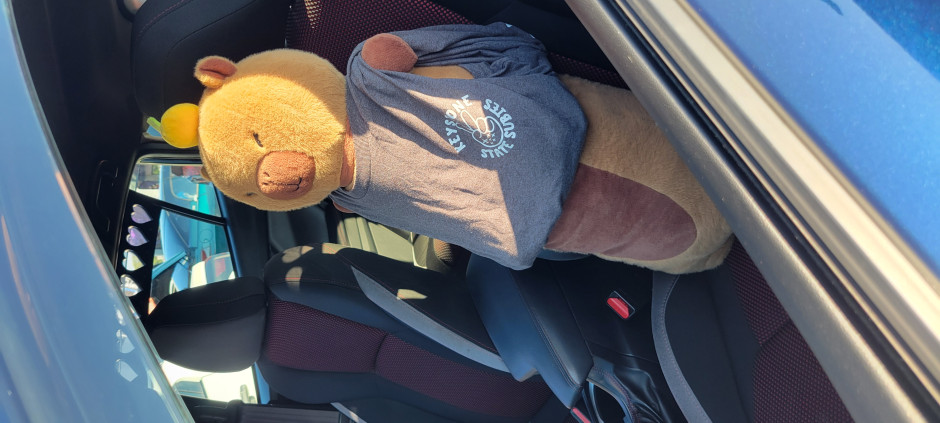 Matt C's 2021 Impreza Sport