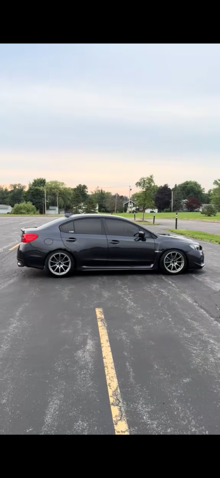 Aidan L's 2019 WRX Premium