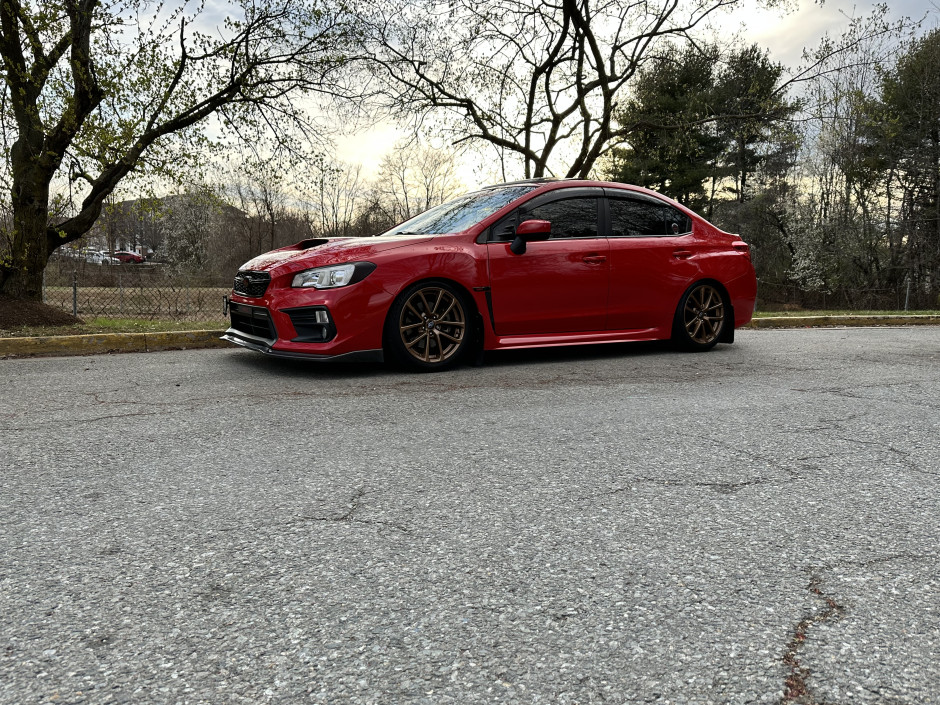 Shaylor B's 2019 Impreza WRX Premium 