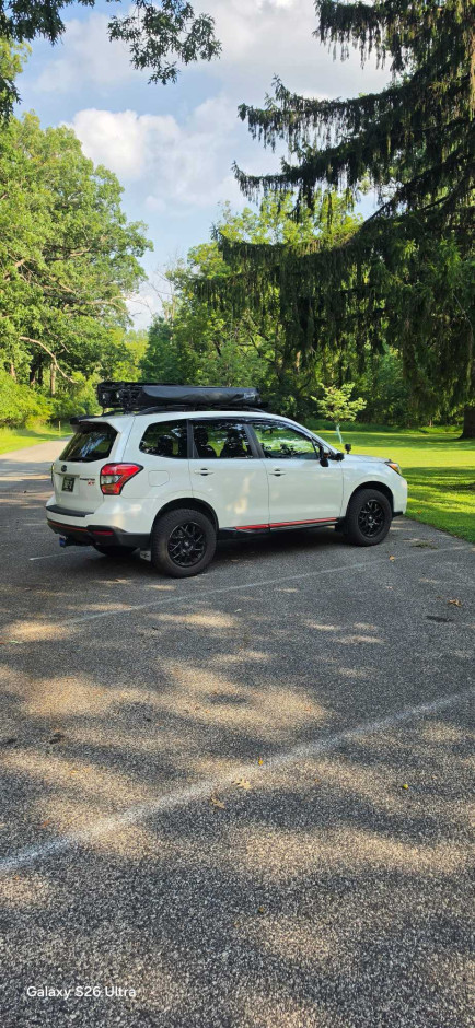 Brian S's 2015 Forester 2.0XT Touring Touring XT