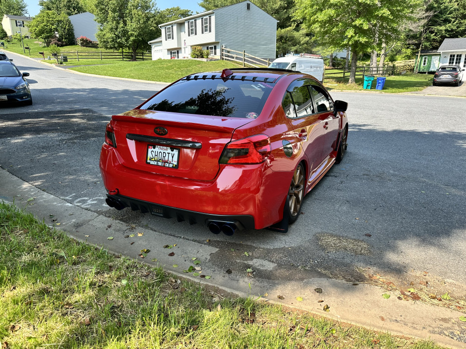 Shaylor B's 2019 Impreza WRX Premium 