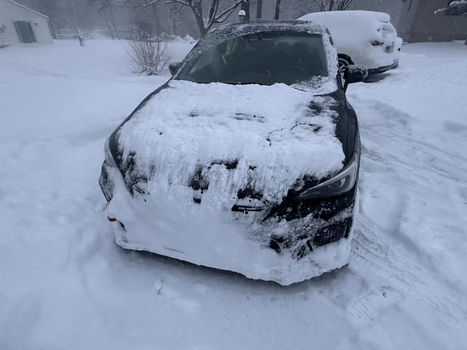 Matthew B's 2019 Impreza WRX STI Limited