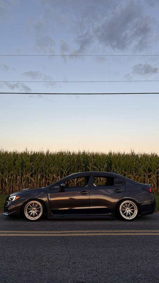 Kylie Pinho's 2017 Impreza WRX 