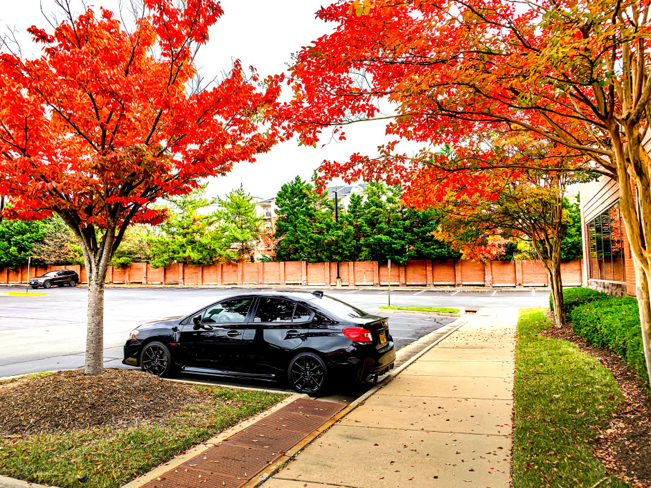 Debra Jenkins's 2020 Impreza WRX Limited 