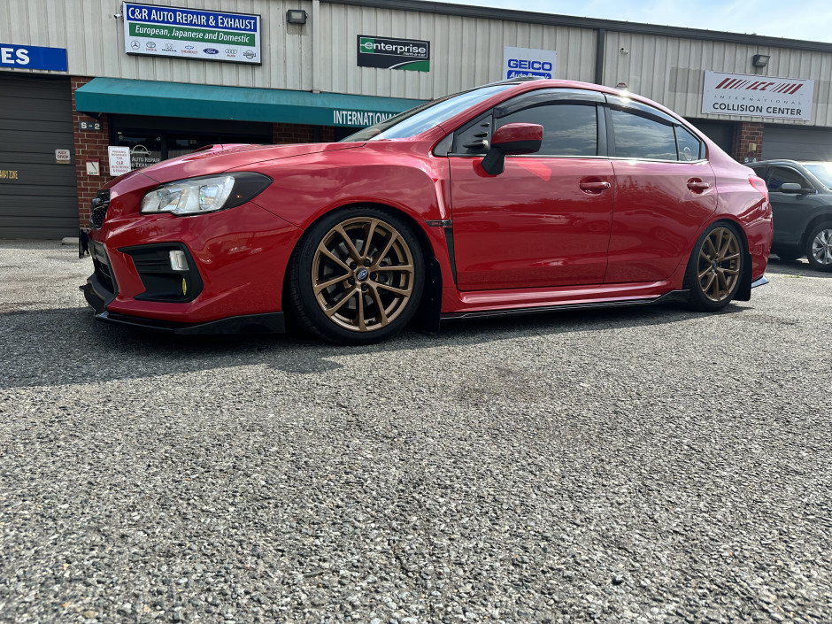 Shaylor B's 2019 Impreza WRX Premium 