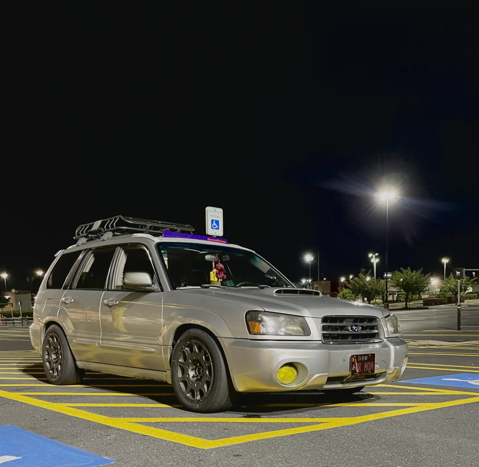 Tala B's 2004 Forester XT