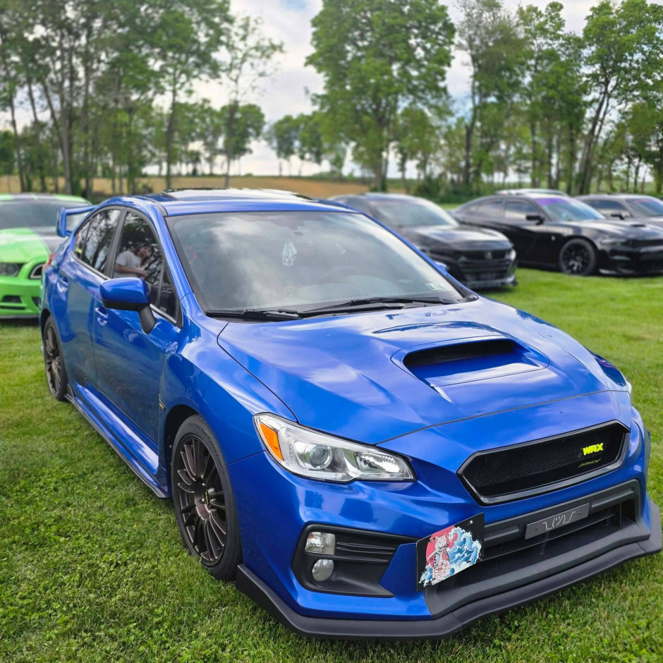 Katie G's 2019 WRX Premium